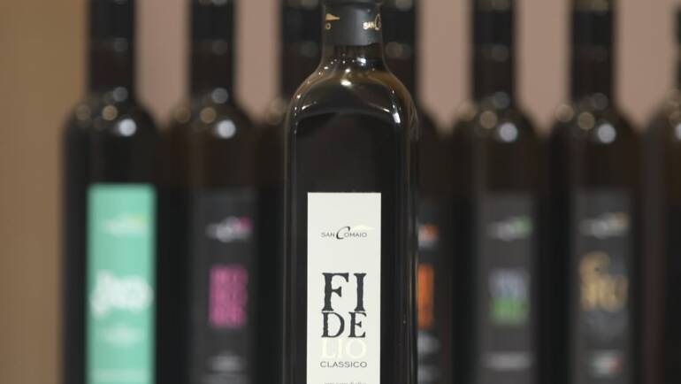 Quanto dura l’olio extravergine di oliva? Conservazione e scadenza